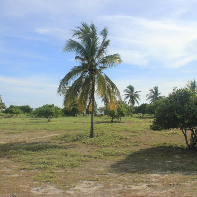 Terrain – villa - maison – propriété – à vendre – à louer – location - location longue durée – location à l’année – investissement – achat – vente – plage – bord de mer - sable blanc – Indonésie – Roti island – Bali – chambre – notaire – consultant - juridique – création - société – administration – voyage – entreprise – hôtel – commerce – restaurant – projet – visa – permis – travail – retraite – informations – découverte – aventure – produits – naturels – spa – salon – coiffure – réflexologie – savon – shampoing – anti-moustique – tourisme – plaisir – nature – surf – plongée – exploration – exotique – exotisme – massage – traditionnel – huile de massage – coucher de soleil – photos – galerie – soin de beauté – pédicure – manucure – agent immobilier – professionnel-Land - villa - house - property - for sale - rent - rental - leasing - rent annually - investment - purchase - sale - beach - sea - white sand - Indonesia - Rote island - Bali - bedroom - notary - consultant - legal - creation - company - administration - travel - business - hotel - shop - restaurant - project - visa - permit - work - retirement - information - discovery - adventure - products - natural - spa - lounge - hairdresser - reflexology - soap - shampoo – anti-mosquito – pleasure – nature – surf – diving – exploration - exotic - exotism - massage - traditional - massage oil - sunset - pictures - gallery - beauty treatment - pedicure – manicure – real estate agent – professional-Tanah - villa - rumah - properti - Dijual - disewakan - dikontrakan - menyewa per tahun - investasi - pembelian - penjualan - pantai - laut - pasir putih - Indonesia - pulau Roti - Bali - bedroom - notaris - konsultan - hukum - penciptaan - wisata - - bisnis - Hotel - bisnis - restoran - proyek - visa - izin - pekerjaan - pensiun - informasi - penemuan - petualangan - produk - spa - - alam ruang duduk - penata rambut - reflexology masyarakat - administrasi - sabun - shampoo – anti-nyamuk - Pariwisata - menyenangkan - semacam - surfing - diving – eksplorasi - eksotik - eksotis - pijat - tradisional - pijat minyak - sunset - Foto - galeri - perawatan kecantikan - pedicure – manicure – properti agen - Profesional